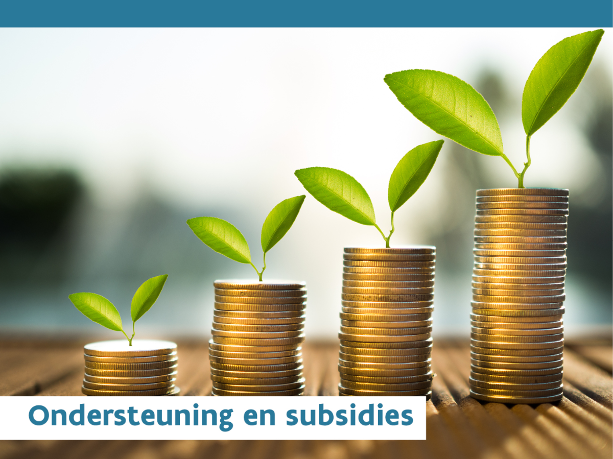 subsidies voor lokale besturen