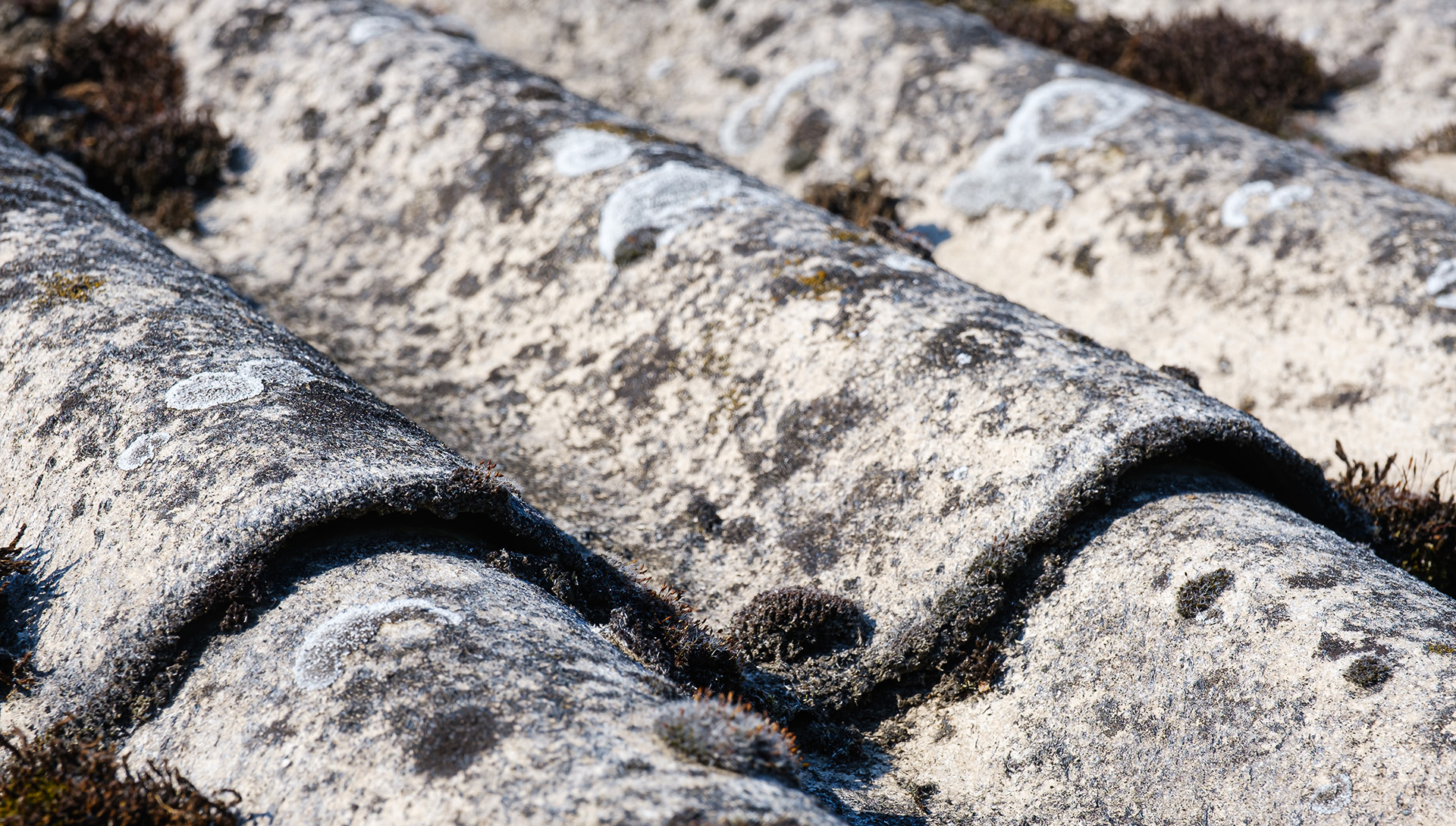 Voorbeeld asbestattest