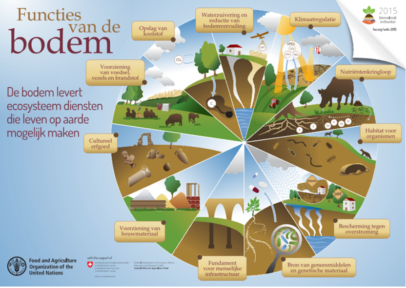 Illustratie ecosysteemdiensten