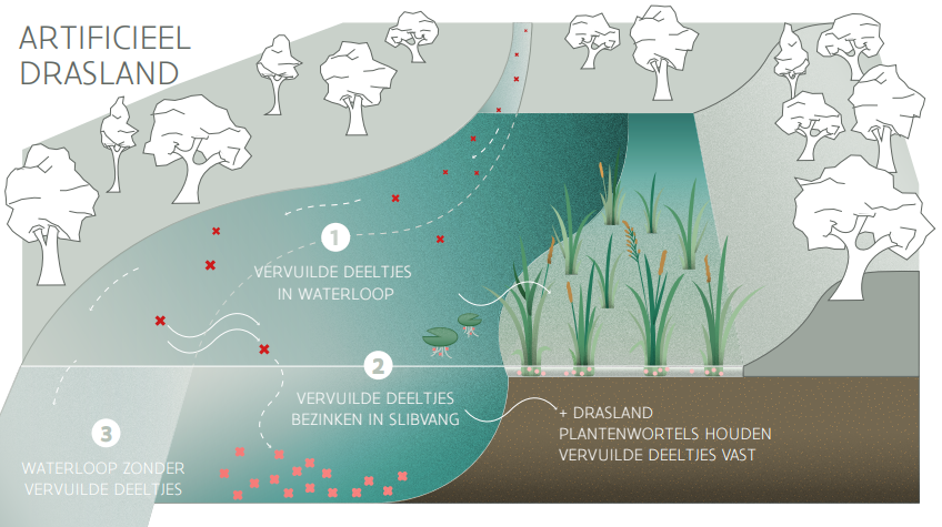 Illustratie natuurgebaseerde sanering Narmena