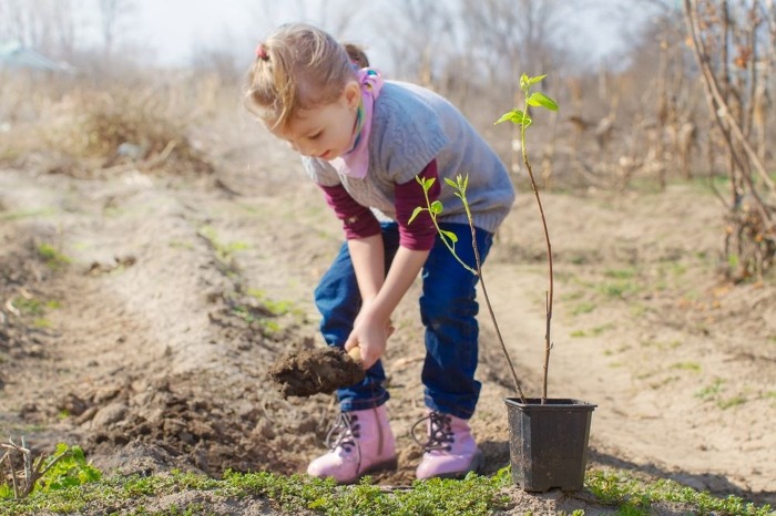 Wat kan je zelf doen voor de bodem in je tuin?