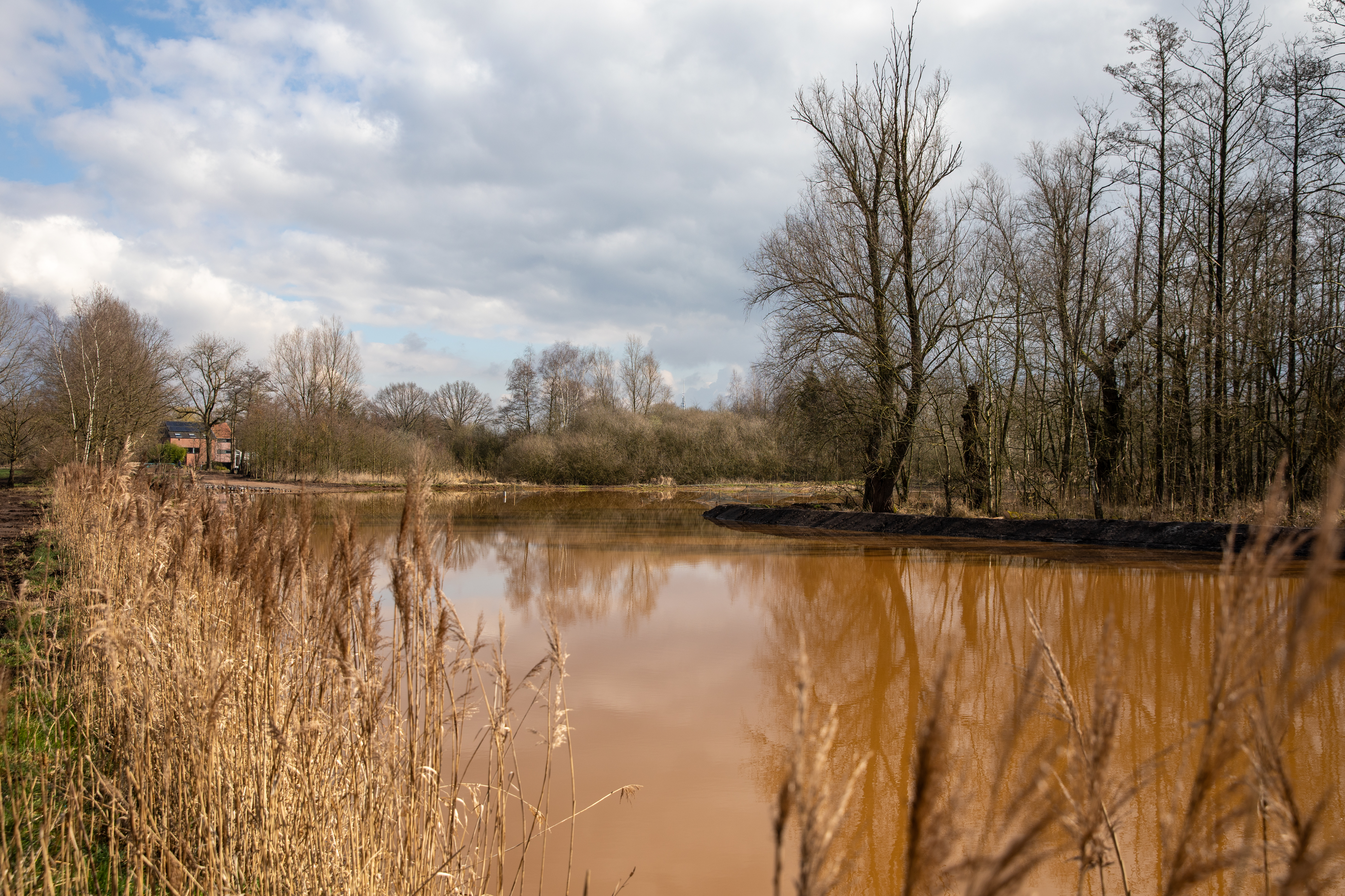 De ‘constructed wetland’ aan de Grote Calie is aangelegd.