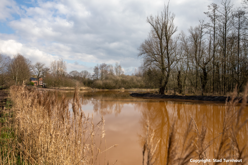 Lees onze blog 'saneren, natuurlijk!'