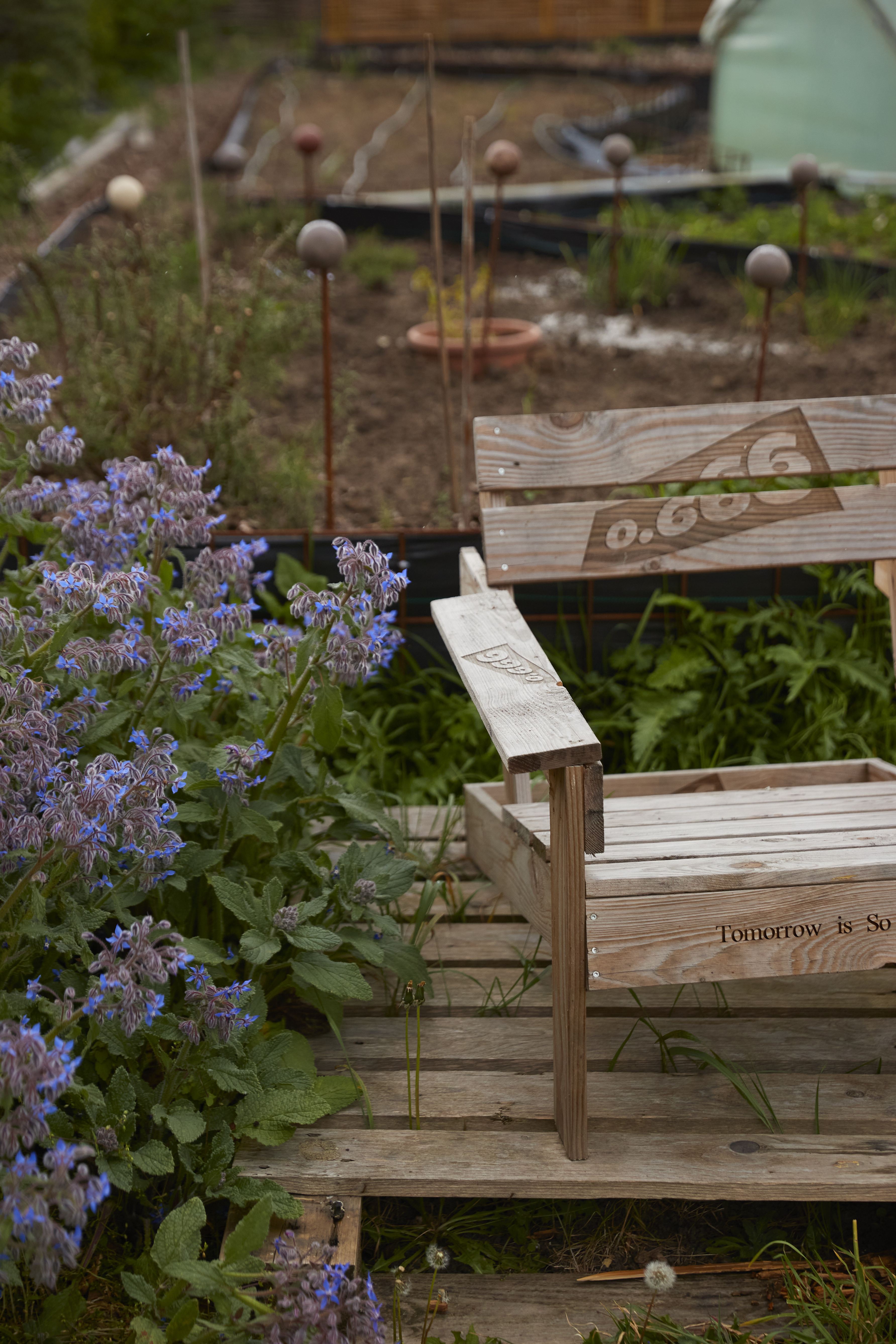 Blog - heb jij al een bodemzorgroutine?