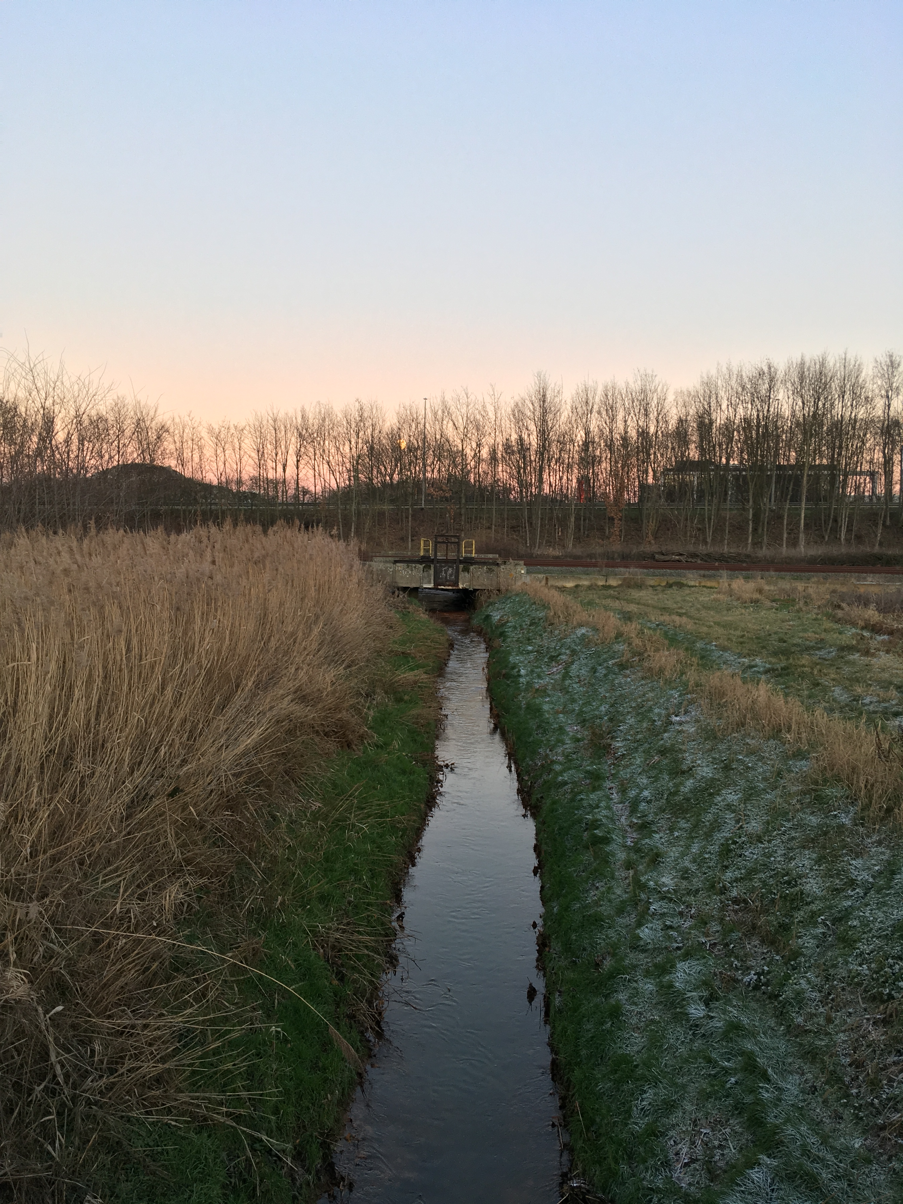 Bodemsaneringsproject ingediend deelgebied monding Dode Beek,Tessenderlo tot Nieuwe baan, Laakdal