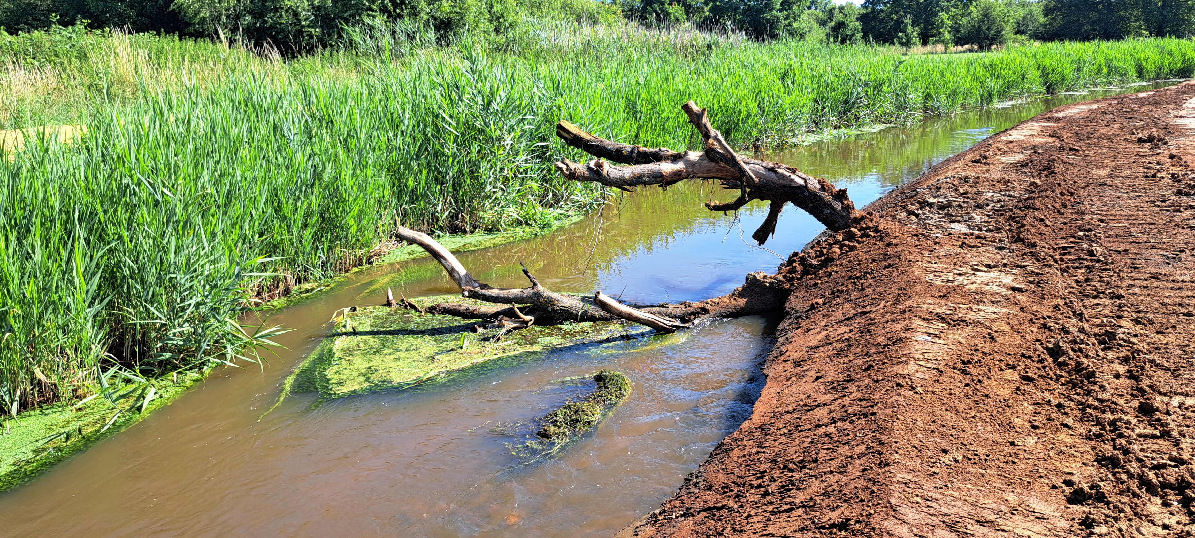 Oeversanering Hulpe met ecologische herinrichting