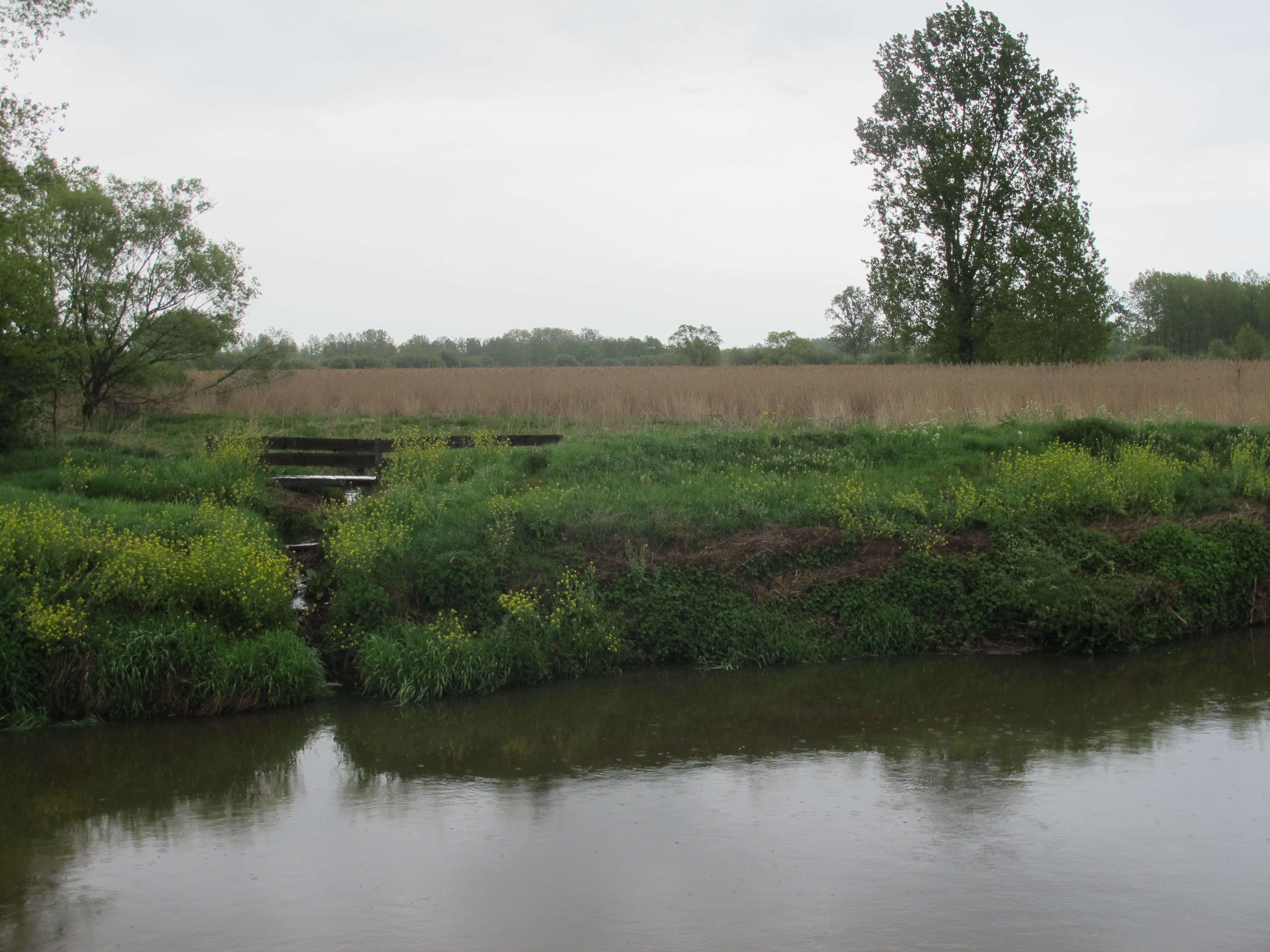 start van de werken in het vierde deelgebied van de Winterbeek
